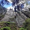 Pařát (vlevo) a sváteční  stěna (vpravo) (z.h.) 