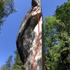 Sladké tabu