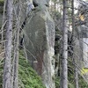 foto P. Jandík 