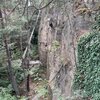 Jiraska - Leknínová stěna