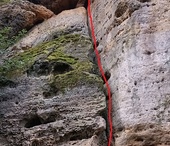 Holubích křídel šum