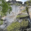 Severní sokolík
