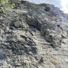 foto P. Jandík 