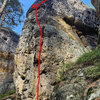 Bačkora