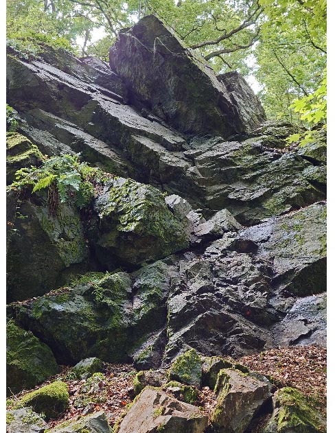 Hladká.11471.654 Hladká.11471.654