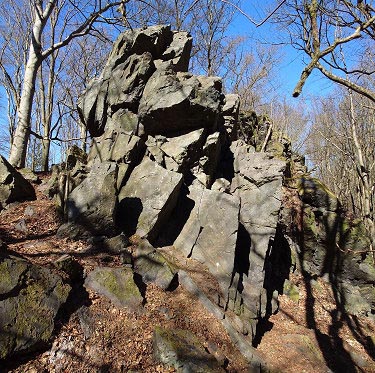 Bukvice.11472.Bukvice Bukvice.11472.Bukvice