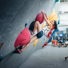 Informace a novinky v Domácích závodech ve sportovním lezení 2026