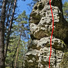 Stonožka
