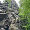 foto P. Jandík 