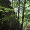 Hřebenovka
