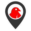 pin-skala-ptaci-uplny