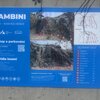 Bambini