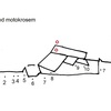 Pod motokrosem