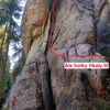 Ale holky řikaly