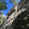 Kid di Gallura