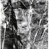 V. Strnad - 70. léta